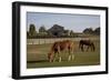 Horses Graze On Farmland In Rural Alabama-Carol Highsmith-Framed Art Print