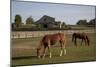 Horses Graze On Farmland In Rural Alabama-Carol Highsmith-Mounted Art Print