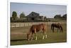 Horses Graze On Farmland In Rural Alabama-Carol Highsmith-Framed Art Print