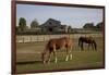 Horses Graze On Farmland In Rural Alabama-Carol Highsmith-Framed Art Print