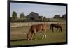 Horses Graze On Farmland In Rural Alabama-Carol Highsmith-Framed Art Print