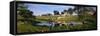 Horses Grazing at a Farm, Amish Country, Indiana, USA-null-Framed Stretched Canvas