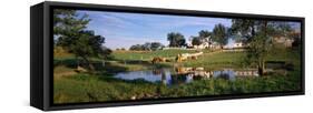 Horses Grazing at a Farm, Amish Country, Indiana, USA-null-Framed Stretched Canvas