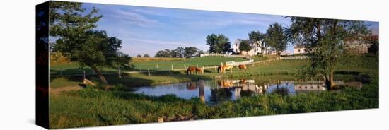 Horses Grazing at a Farm, Amish Country, Indiana, USA-null-Stretched Canvas