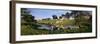 Horses Grazing at a Farm, Amish Country, Indiana, USA-null-Framed Photographic Print