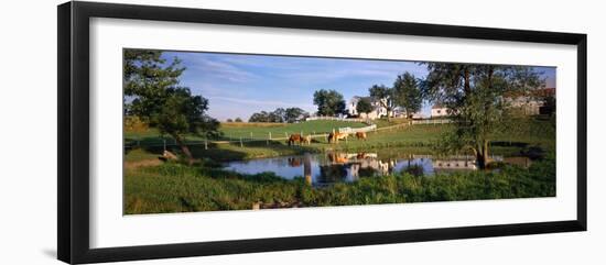 Horses Grazing at a Farm, Amish Country, Indiana, USA-null-Framed Photographic Print