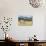 Horses Grazing at Bitterroot Ranch, Dubois, Wyoming, Usa-John Warburton-lee-Stretched Canvas displayed on a wall