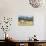 Horses Grazing at Bitterroot Ranch, Dubois, Wyoming, Usa-John Warburton-lee-Photographic Print displayed on a wall