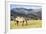 Horses Grazing at Bitterroot Ranch, Dubois, Wyoming, Usa-John Warburton-lee-Framed Photographic Print