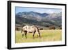 Horses Grazing at Bitterroot Ranch, Dubois, Wyoming, Usa-John Warburton-lee-Framed Photographic Print