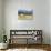 Horses Grazing at Bitterroot Ranch, Dubois, Wyoming, Usa-John Warburton-lee-Photographic Print displayed on a wall