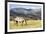 Horses Grazing at Bitterroot Ranch, Dubois, Wyoming, Usa-John Warburton-lee-Framed Photographic Print