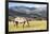 Horses Grazing at Bitterroot Ranch, Dubois, Wyoming, Usa-John Warburton-lee-Framed Photographic Print