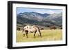 Horses Grazing at Bitterroot Ranch, Dubois, Wyoming, Usa-John Warburton-lee-Framed Photographic Print