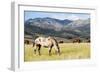 Horses Grazing at Bitterroot Ranch, Dubois, Wyoming, Usa-John Warburton-lee-Framed Photographic Print