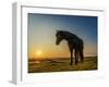 Horses Grazing at Sunset, Iceland-Ragnar Th Sigurdsson-Framed Photographic Print