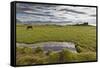 Horses Grazing by Abandon House, Vidbordssel Farm, Hornafjordur, Iceland-Arctic-Images-Framed Stretched Canvas