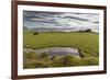 Horses Grazing by Abandon House, Vidbordssel Farm, Hornafjordur, Iceland-Arctic-Images-Framed Photographic Print