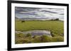 Horses Grazing by Abandon House, Vidbordssel Farm, Hornafjordur, Iceland-Arctic-Images-Framed Photographic Print