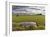 Horses Grazing by Abandon House, Vidbordssel Farm, Hornafjordur, Iceland-Arctic-Images-Framed Photographic Print