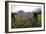 Horses Grazing in a Field, Tewksbury, New Jersey-George Oze-Framed Photographic Print