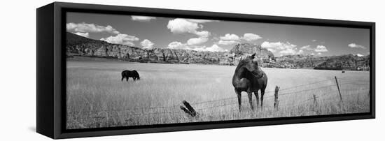 Horses Grazing in a Meadow, Kolob Reservoir, Utah, USA-null-Framed Stretched Canvas