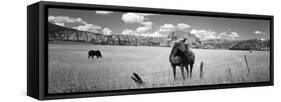 Horses Grazing in a Meadow, Kolob Reservoir, Utah, USA-null-Framed Stretched Canvas