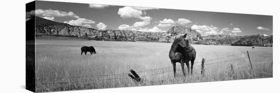 Horses Grazing in a Meadow, Kolob Reservoir, Utah, USA-null-Stretched Canvas