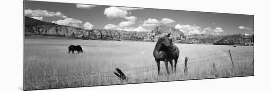 Horses Grazing in a Meadow, Kolob Reservoir, Utah, USA-null-Mounted Photographic Print