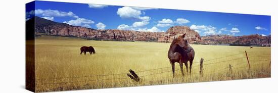 Horses Grazing in a Meadow, Kolob Reservoir, Utah, USA-null-Stretched Canvas