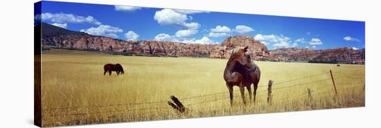 Horses Grazing in a Meadow, Kolob Reservoir, Utah, USA-null-Stretched Canvas