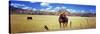 Horses Grazing in a Meadow, Kolob Reservoir, Utah, USA-null-Stretched Canvas