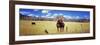 Horses Grazing in a Meadow, Kolob Reservoir, Utah, USA-null-Framed Premium Photographic Print