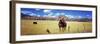 Horses Grazing in a Meadow, Kolob Reservoir, Utah, USA-null-Framed Photographic Print