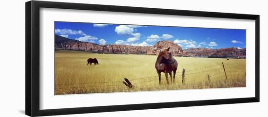 Horses Grazing in a Meadow, Kolob Reservoir, Utah, USA-null-Framed Photographic Print