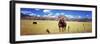 Horses Grazing in a Meadow, Kolob Reservoir, Utah, USA-null-Framed Photographic Print