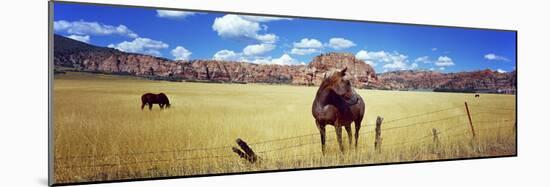 Horses Grazing in a Meadow, Kolob Reservoir, Utah, USA-null-Mounted Photographic Print