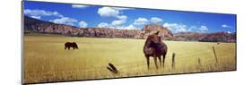 Horses Grazing in a Meadow, Kolob Reservoir, Utah, USA-null-Mounted Photographic Print