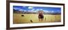 Horses Grazing in a Meadow, Kolob Reservoir, Utah, USA-null-Framed Photographic Print