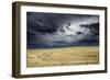 Horses grazing in steppe grassland, Altanbulag, Mongolia-Paul Williams-Framed Photographic Print