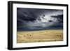 Horses grazing in steppe grassland, Altanbulag, Mongolia-Paul Williams-Framed Photographic Print