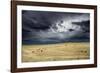 Horses grazing in steppe grassland, Altanbulag, Mongolia-Paul Williams-Framed Photographic Print