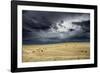 Horses grazing in steppe grassland, Altanbulag, Mongolia-Paul Williams-Framed Photographic Print