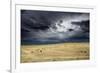 Horses grazing in steppe grassland, Altanbulag, Mongolia-Paul Williams-Framed Photographic Print