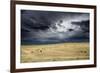 Horses grazing in steppe grassland, Altanbulag, Mongolia-Paul Williams-Framed Photographic Print
