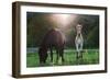 Horses Grazing In Sunset Lights-melis-Framed Photographic Print