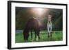 Horses Grazing In Sunset Lights-melis-Framed Photographic Print