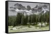 Horses Grazing in the Meadow Blanketed in Summer Snow, Dolomites, Alto Adige or South Tyrol, Italy-Stefano Politi Markovina-Framed Stretched Canvas