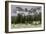 Horses Grazing in the Meadow Blanketed in Summer Snow, Dolomites, Alto Adige or South Tyrol, Italy-Stefano Politi Markovina-Framed Photographic Print