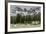 Horses Grazing in the Meadow Blanketed in Summer Snow, Dolomites, Alto Adige or South Tyrol, Italy-Stefano Politi Markovina-Framed Photographic Print